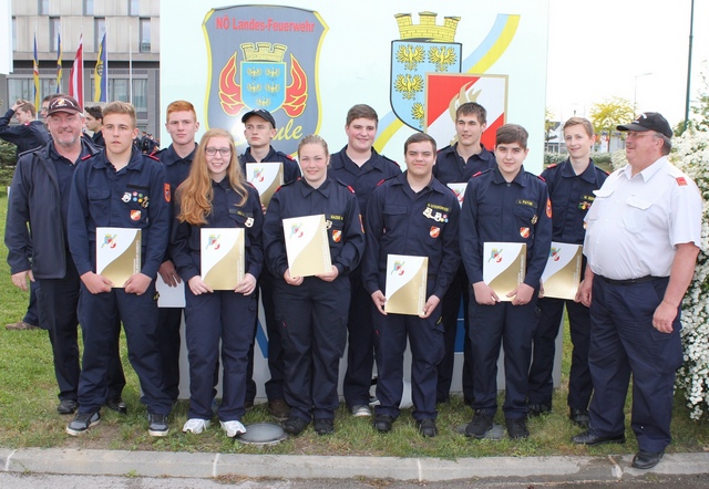 IMG 0273 FJLB Gold AFK GE